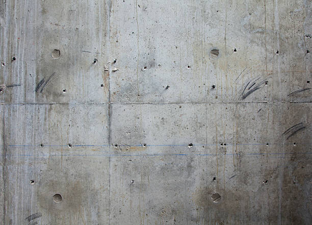 Best Concrete Foundation Repair in The Meadows, FL